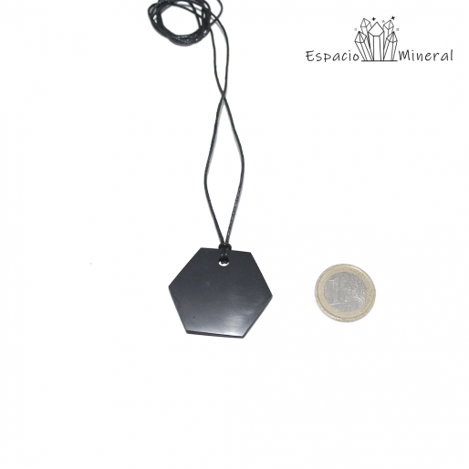Colgante Hexagonal de Shungit 2