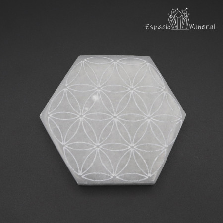Hexágono de Selenita Flor de la Vida